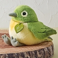 potte(�|�b�e) ���W��