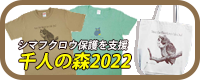 i2022SSjl̐X2022